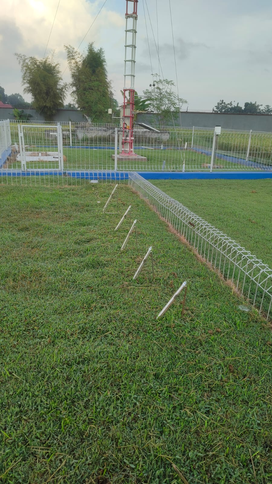 Termometer Tanah Rumput